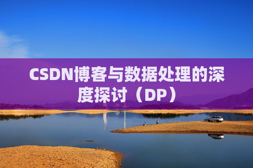 CSDN博客与数据处理的深度探讨（DP）