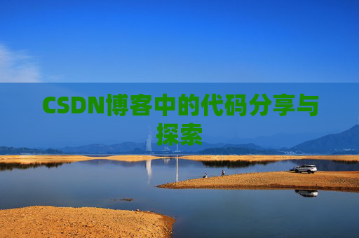 CSDN博客中的代码分享与探索