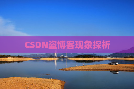 CSDN盗博客现象探析